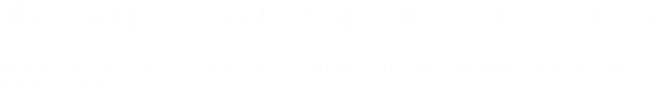 The Grupo Bantus Capoeira Cord System Higher cords are received according to capoeira skills, knowledge and effort to improve the game and active participation in the group.